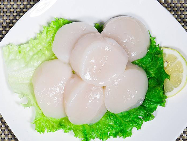 Scallops