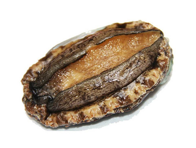 8 abalone