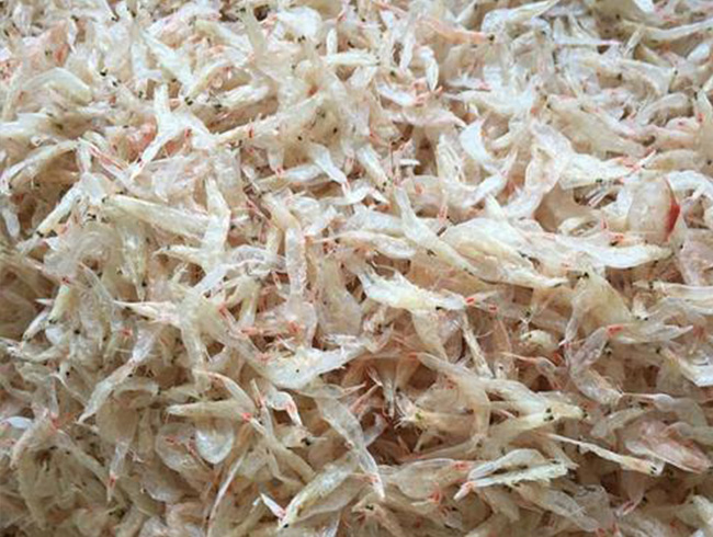 Dried shrimp skin