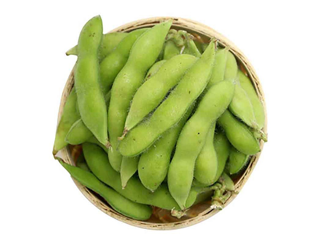 Soybean